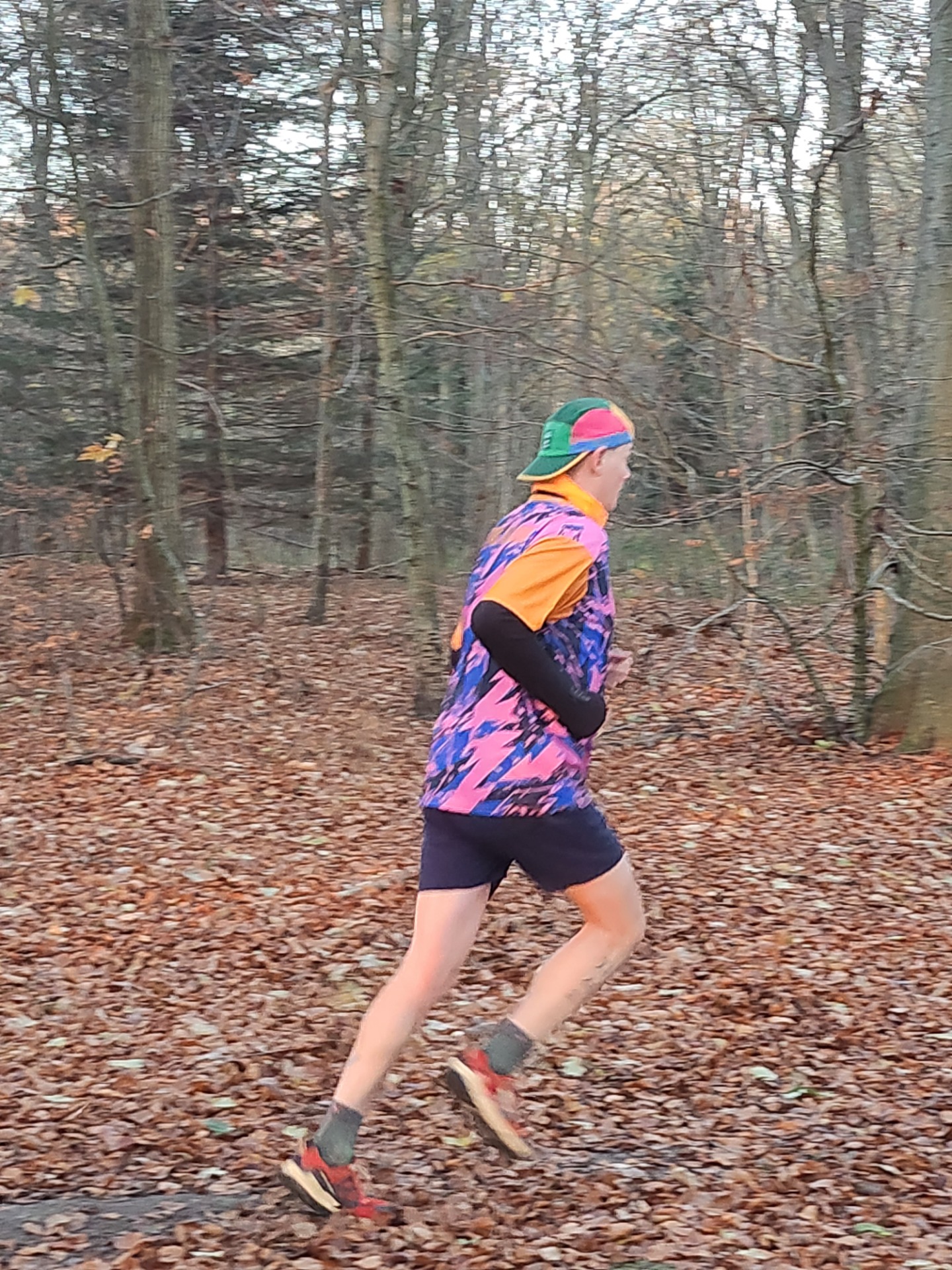 Trailguy i skovtræning